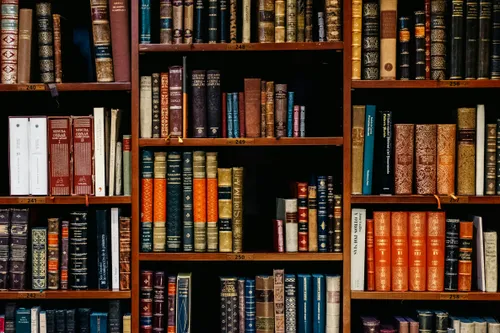 Bookshelf full of books about Florida Law.